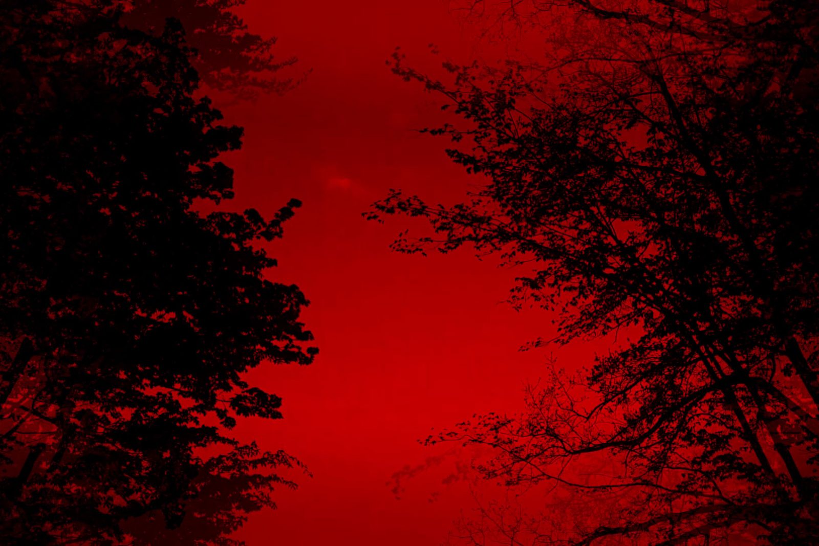 greenscreen background 4